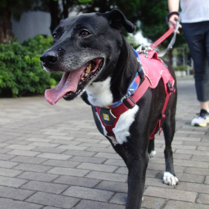 C3ba2783 4e71 419c 9011 c816445b29d6 1693010395949