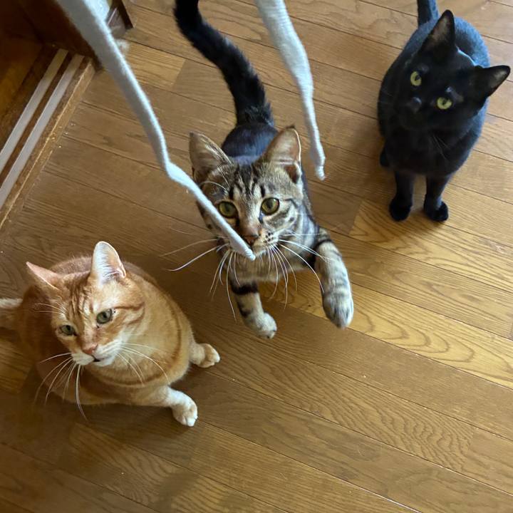 C3ba36e9 0cab 41dc 9ac9 170ae56a6bb6 1754890632357