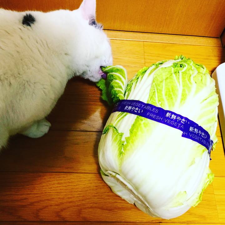 C3ba6689 5459 4677 a72e 89b342641b8e 1547295084439