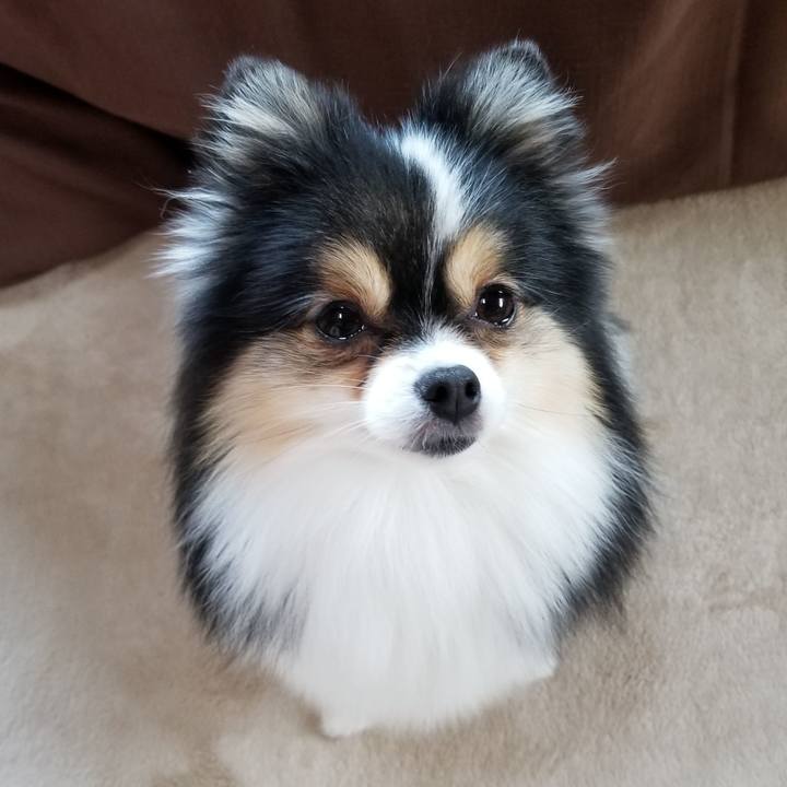 C3ba6d0a 2c0a 4951 8c8e dbfcf1950375 1541893841115