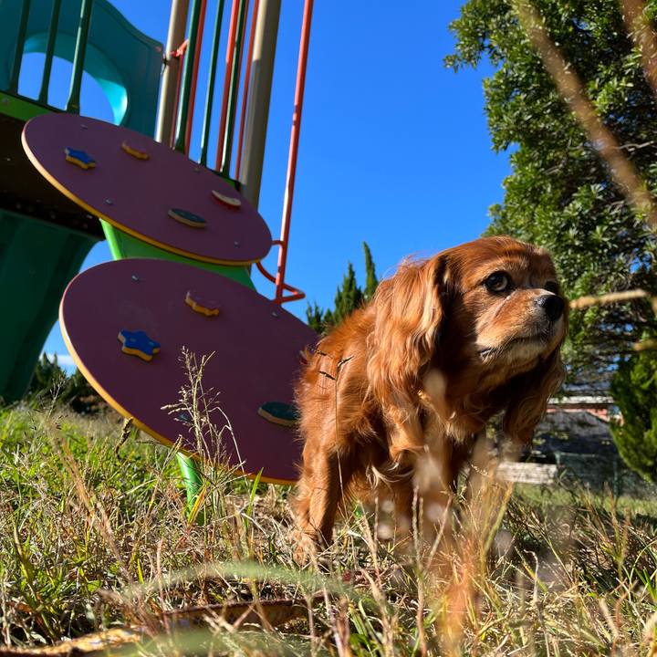 C3ba74b8 37bf 4dd4 b232 ed835c46fde0 1698537518520