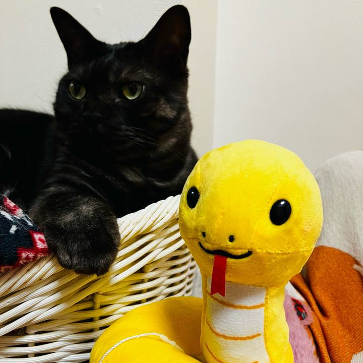 C3babe43 d670 4f59 a9d4 9dfd0642ba87 1737202237876