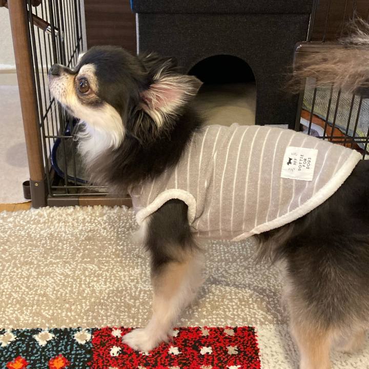 C3bad191 62cc 4c98 a4e8 4ff820837c91 1717257258011