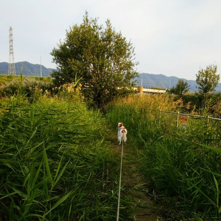 C3bb4081 156d 460a 895e 79c980075748 1539592286199