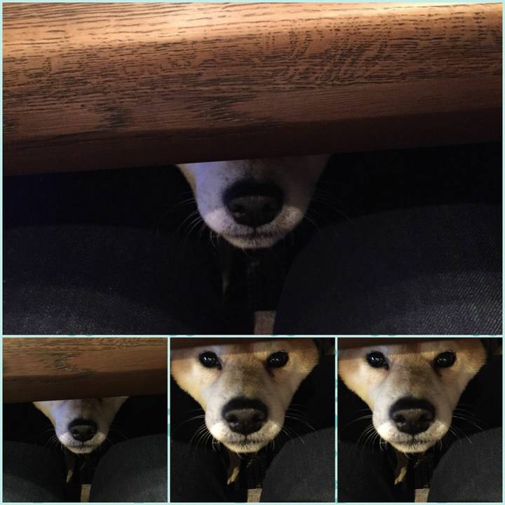 C3bb60d3 98da 4533 bdc3 221c8cd26e1a 1514106725892