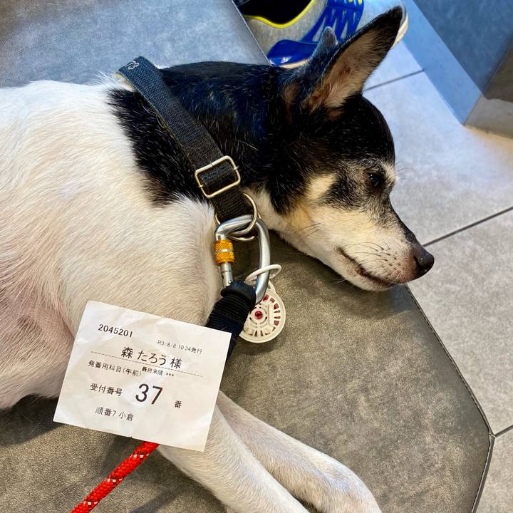 C3bb8b19 02ac 4737 aaf8 6a454cbfebad 1628409039960