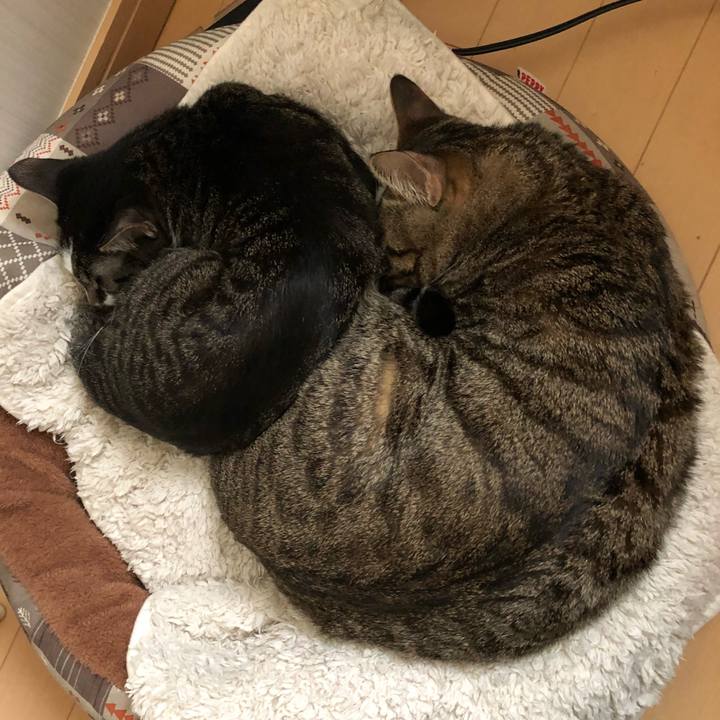 C3bbb7f2 3c6a 4079 888e 3572aebeccdb 1521558988613