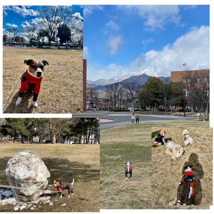 C3bbb9a7 24ab 40da 8e30 f7d6295e2922 1739953961057