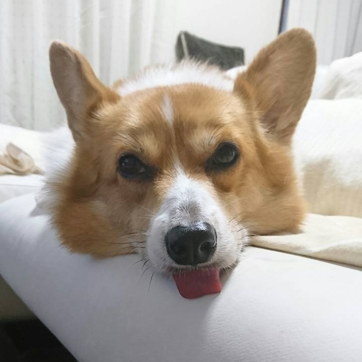 C3bbbcaf f8cb 4d02 9796 310277d7a4dd 1534239155865