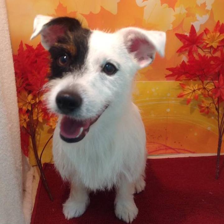 C3bbc41c df6e 4410 aaa4 9fbf24358575 1568323273672