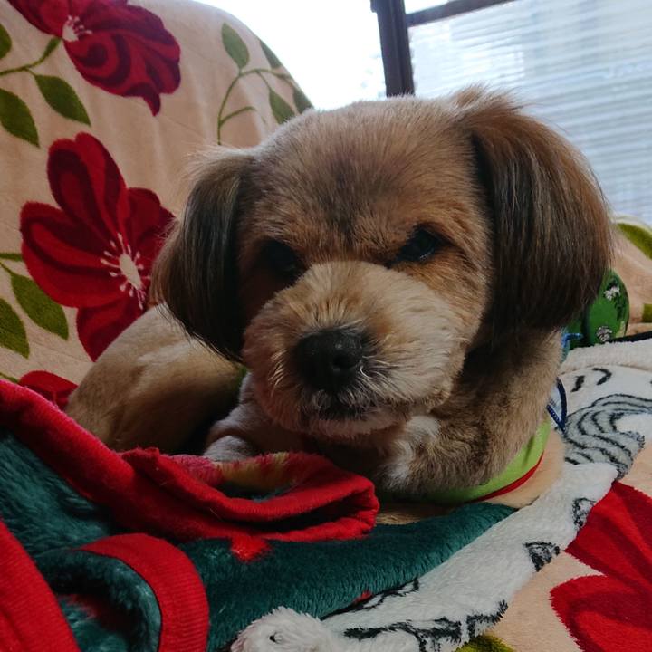 C3bbce62 f222 4b1a b4e2 63b9f33c9e9a 1552947673497