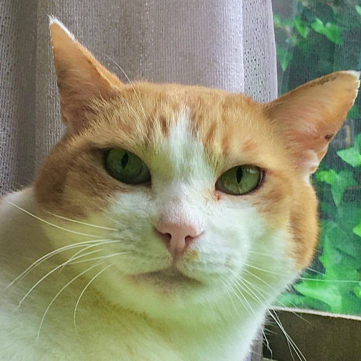 C3bbcfa1 348c 4fed 9d00 42c1c022f8af 1622760831749