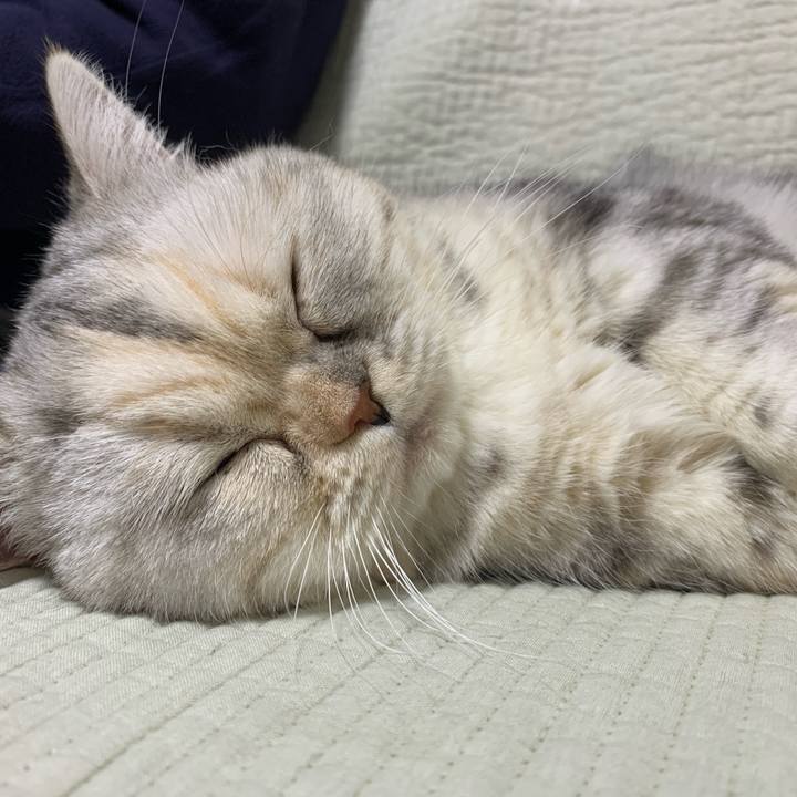 C3bbdf6a dc87 4614 a02f 7da908962599 1711980653264