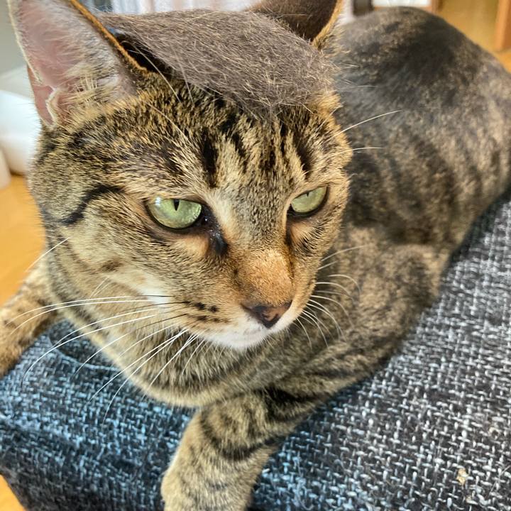 C3bbe017 bfb0 4999 a7af b313d4cd6e9b 1599869824302