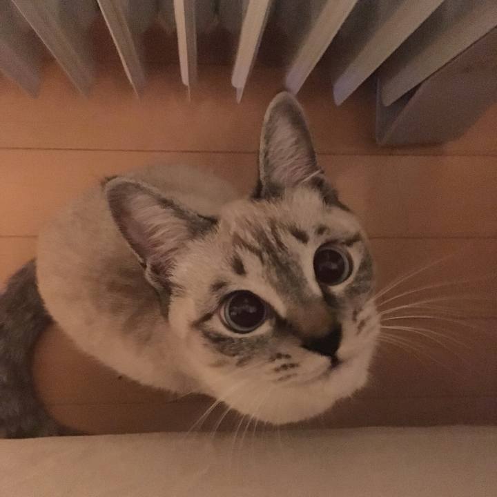 C3bbfd2b 259d 4069 bf41 75a022fa3d02 1545922279857