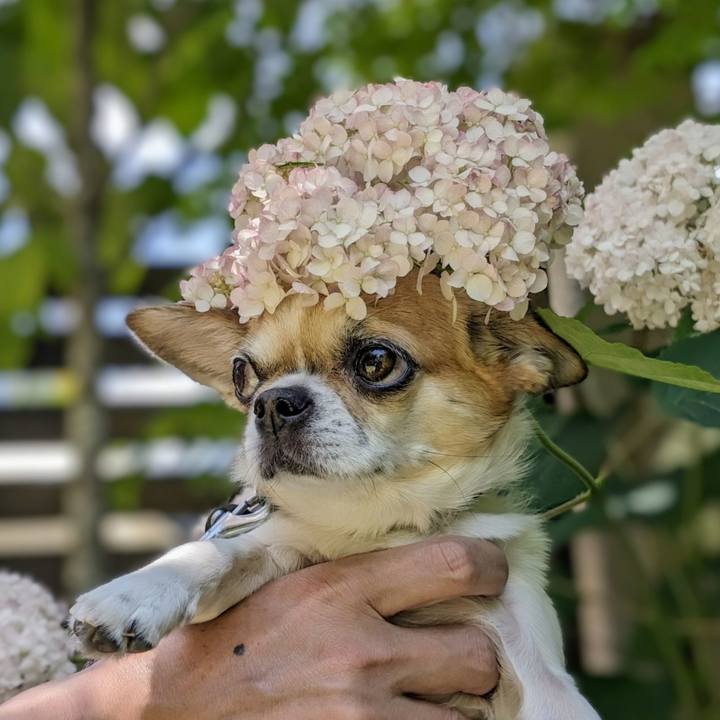 C3bbff45 d314 4fb5 b72c 070643583459 1718445120785