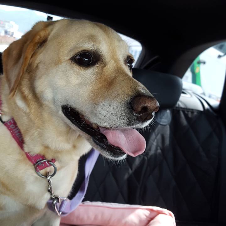 C3bc0cd0 edc4 45b3 9015 64ec4b38ab67 1591670229059