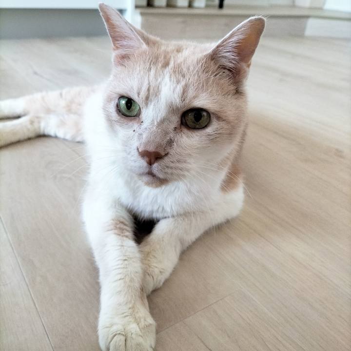 C3bc128f 2052 415a 866e e1f680b5fd8a 1693003227122