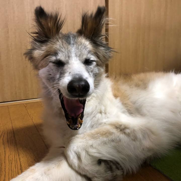 C3bc1b4d 76b4 47ea 8d58 32ebaf457ddc 1532386743291