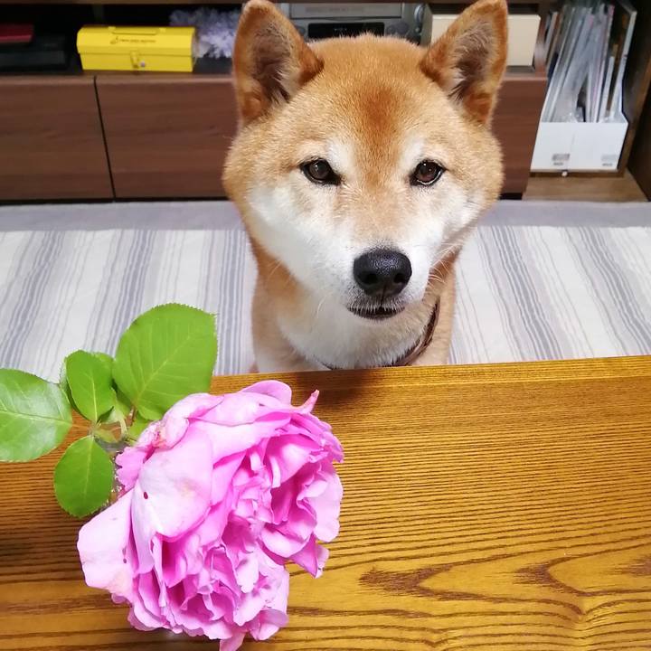 C3bc68c7 4a08 433c bbf9 f95733055e8e 1654768455330