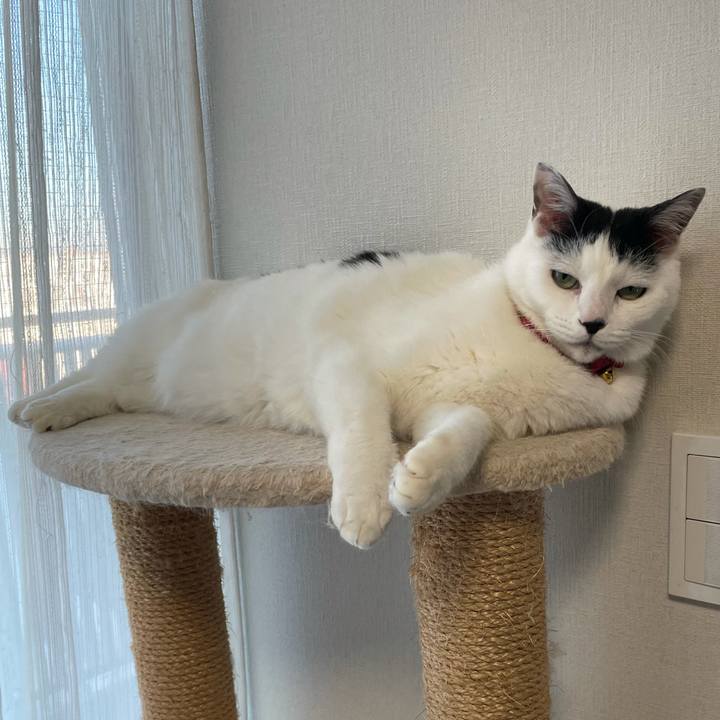 C3bc8f9b 20aa 4c8e b347 ee6b50689bcd 1610494682603