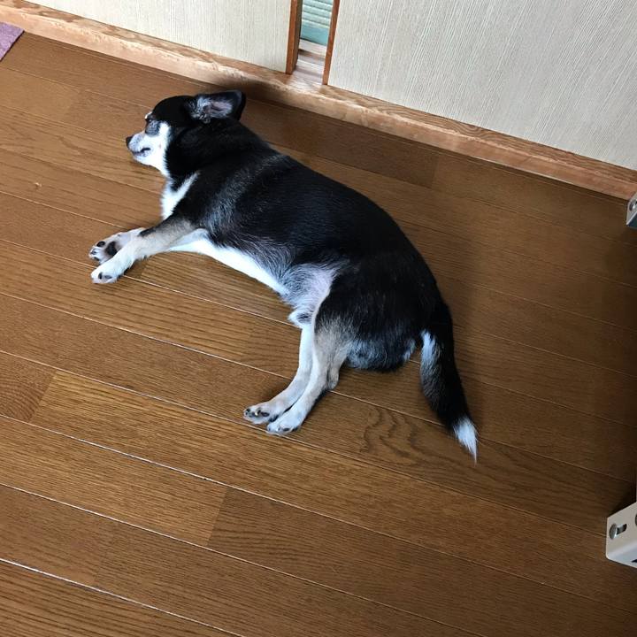 C3bc9fdd e48f 4043 955d 52bb5c02e28f 1564791141286