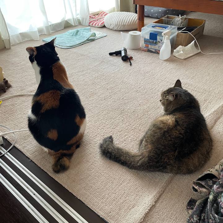 C3bca835 1e0b 4f39 8a39 fce36bc2eaa3 1755916645077