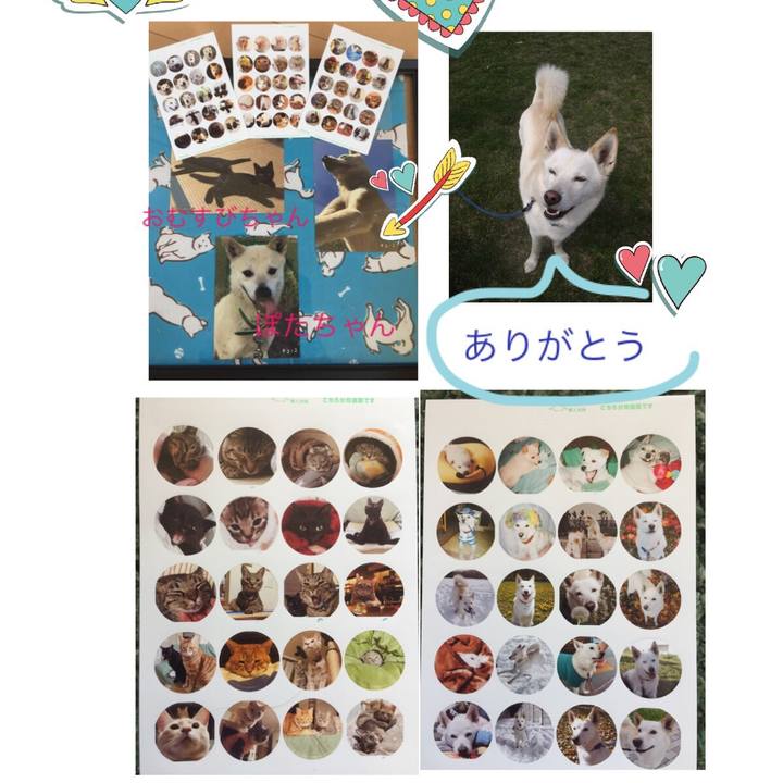 C3bce360 23e2 4d17 b3df d1e1e7f2ff87 1557975778624