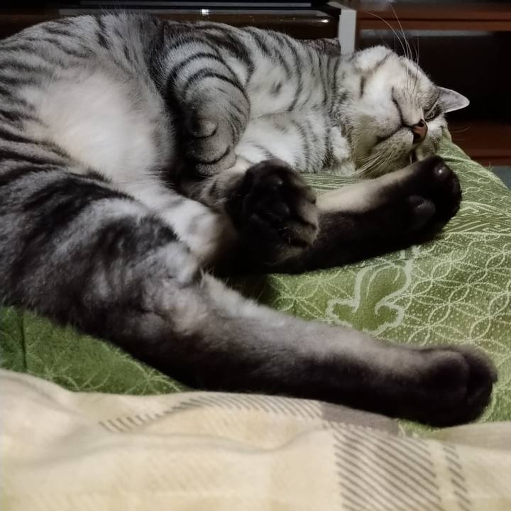 C3bcfc84 bdbc 47ec b6c5 6841d2507d27 1645883500225