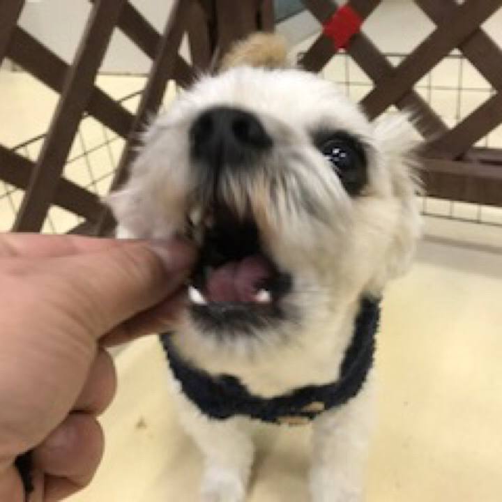 C3bd08ce c9d9 4fe8 b6fd 074fbcda8833 1517395354297