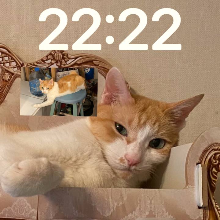 C3bd1388 1fe0 4027 adb9 7e287f57f486 1751323515111