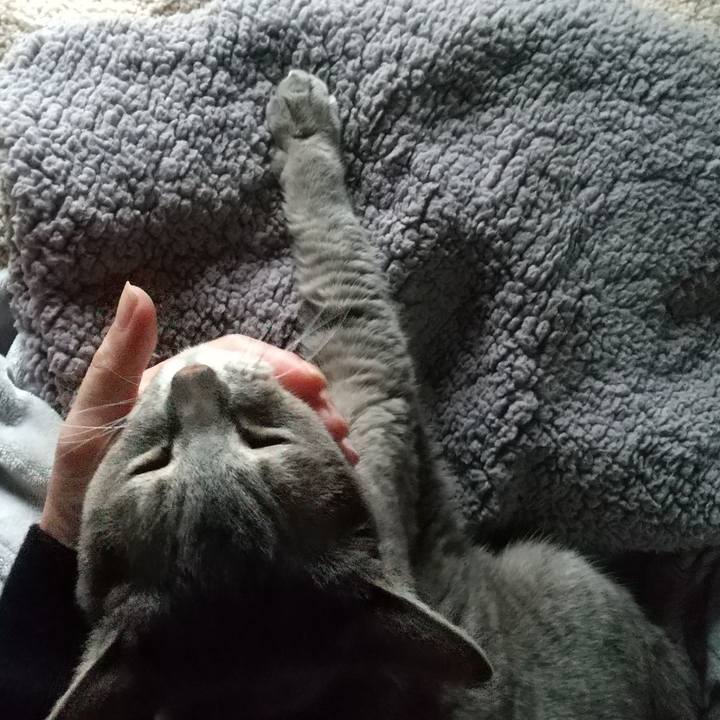 C3bd6616 f70c 4765 902d 003d2eee5194 1685662822788