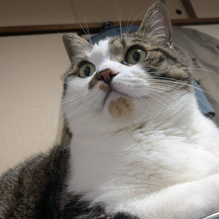 C3bd8086 d09c 4392 bcaf 4d05733b6d95 1749949391217