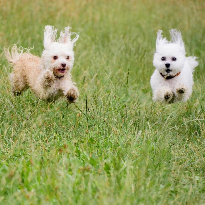 C3bdf7f7 b953 4d8a b28d 2cc7ae49a56f 1762461013206