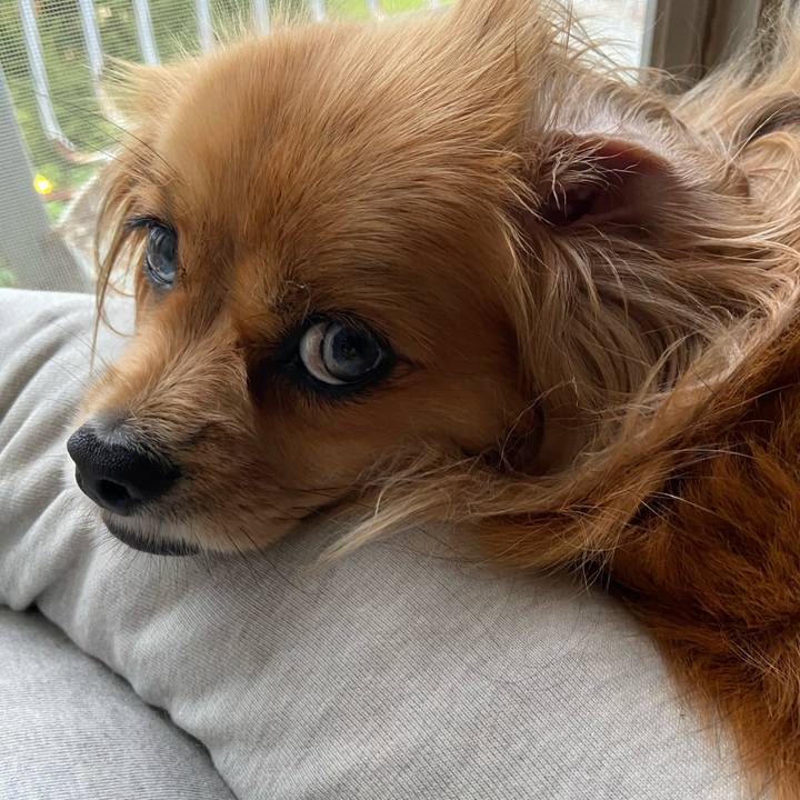 C3be2c99 e182 471e a6e5 1b82a311ca7f 1592949956474