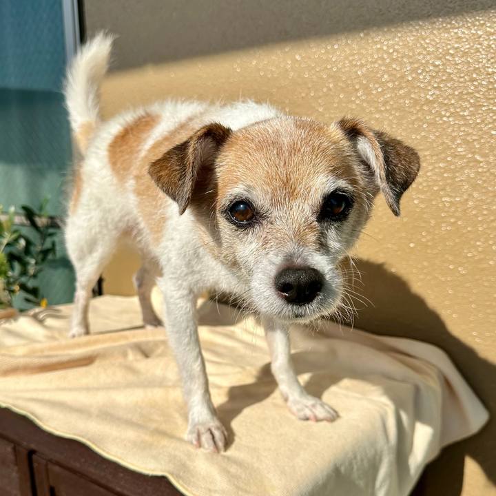 C3be2d91 6f85 46ac 99df c9e539de725c 1668045639077