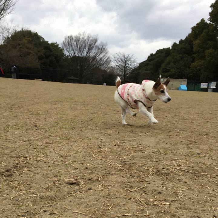 C3be57f8 695a 46aa 972c 84a0cac2a6a7 1648340256449