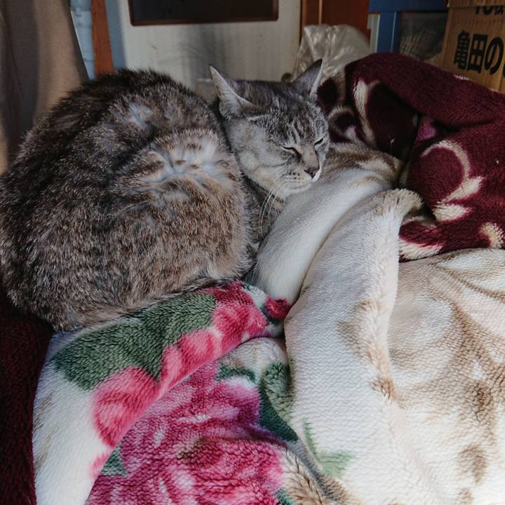 C3bee03c c19f 428a 8971 98a6d613db09 1573365654960