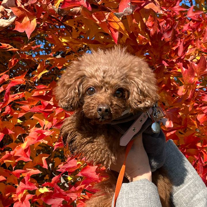 C3bef3b1 5ff6 4429 a9ca 783eeabf9b81 1639299202717