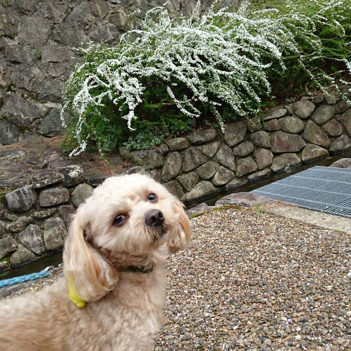 C3bf0977 8543 49e6 a099 fa4bc86a922e 1521354524079