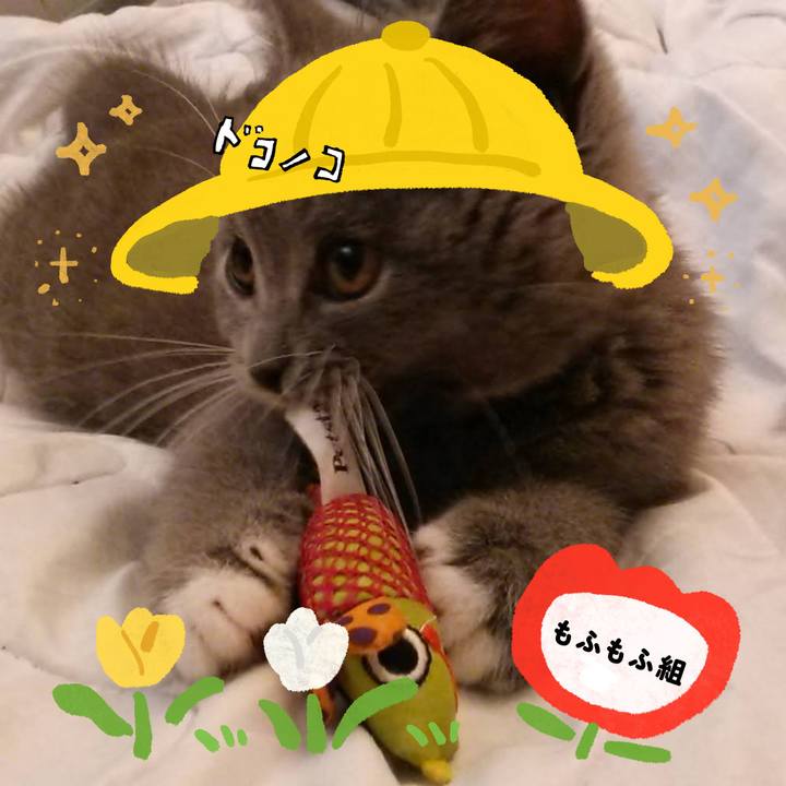 C3bf6be4 fc3d 44d8 b5e7 e93ab0ee16fb 1712470769904