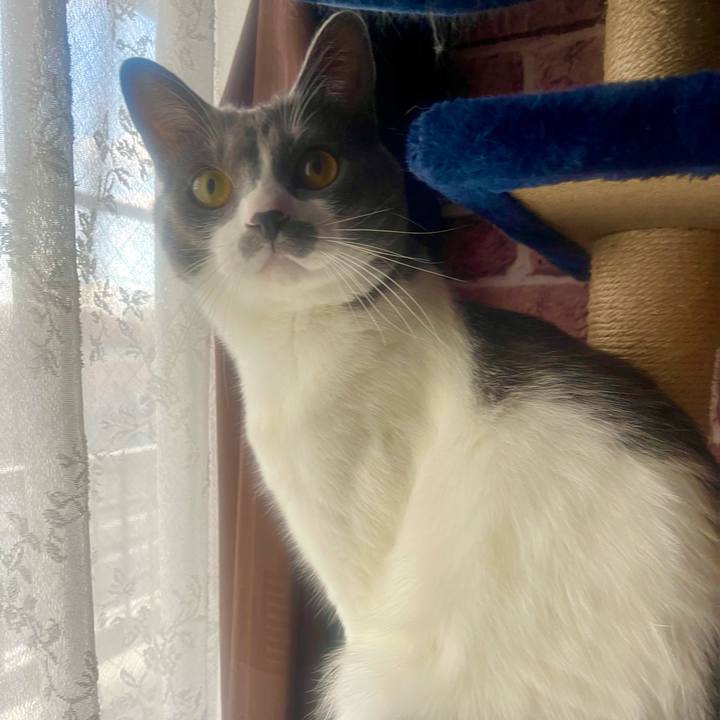 C3bf8507 797c 487c b3f4 ed5f8c300e3f 1637621734974