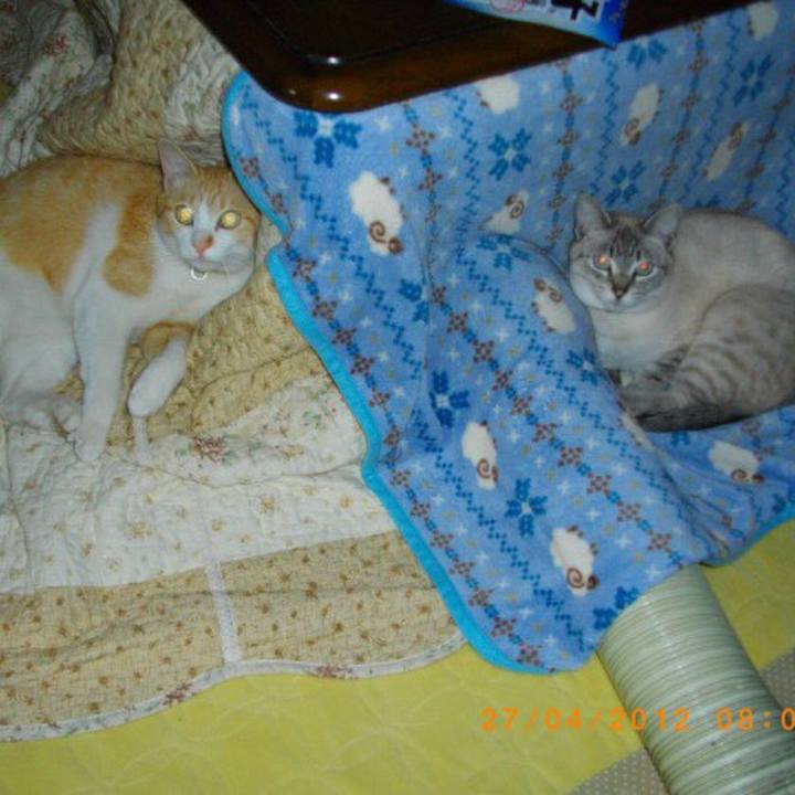 C3bfbc17 b11e 477b 9364 fabd80967ea7 1526168169730