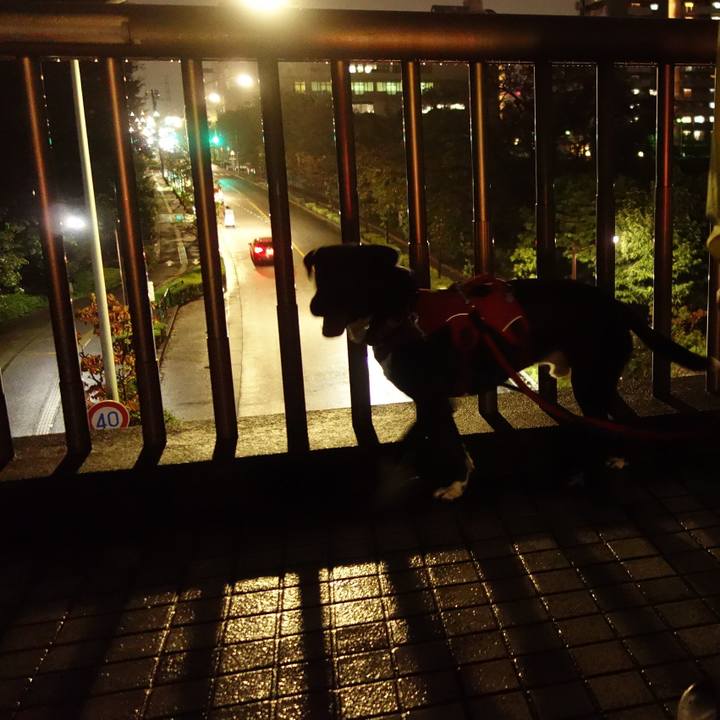 C3c042df 94d4 4e86 b464 6a9be7880507 1601115281502