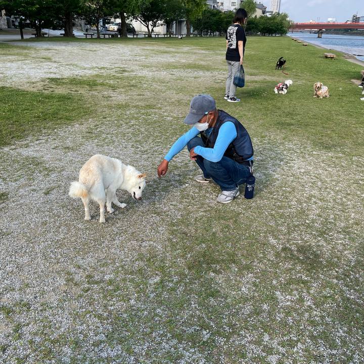 C3c060d0 3c68 45c5 a2a3 c3a1a923507c 1653481479536