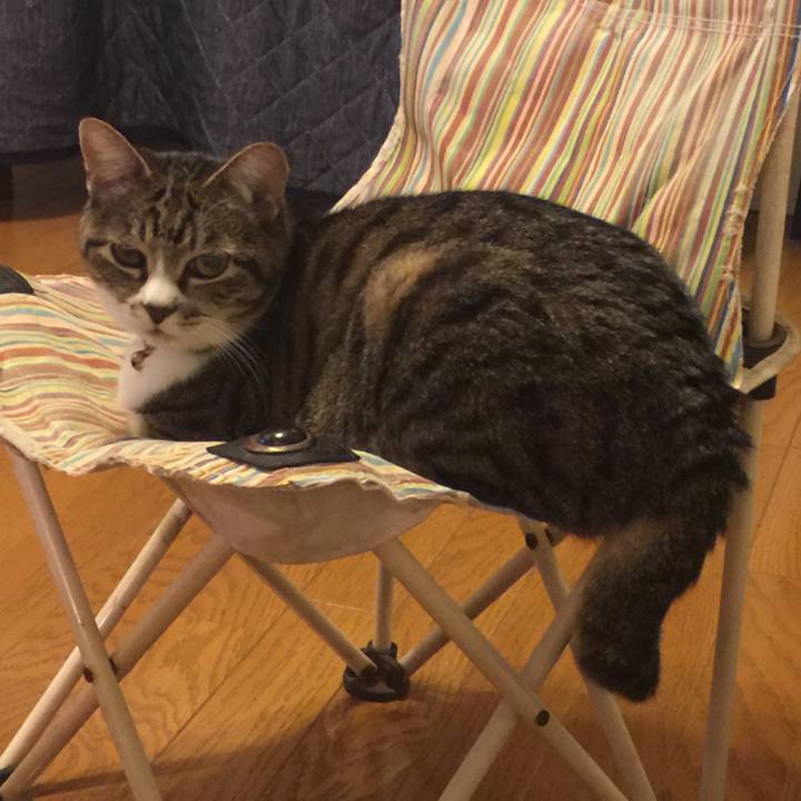 C3c08a78 9790 4e16 ab4c c33592fef7a4 1559564987883