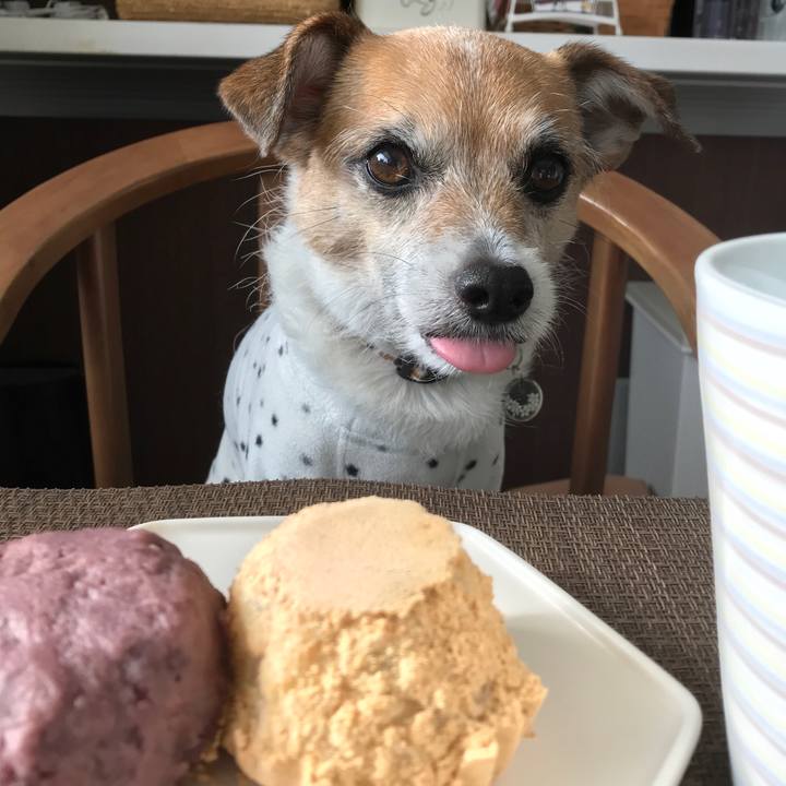 C3c0a65a c444 4d94 8343 1ee5547c5e8b 1584605717274