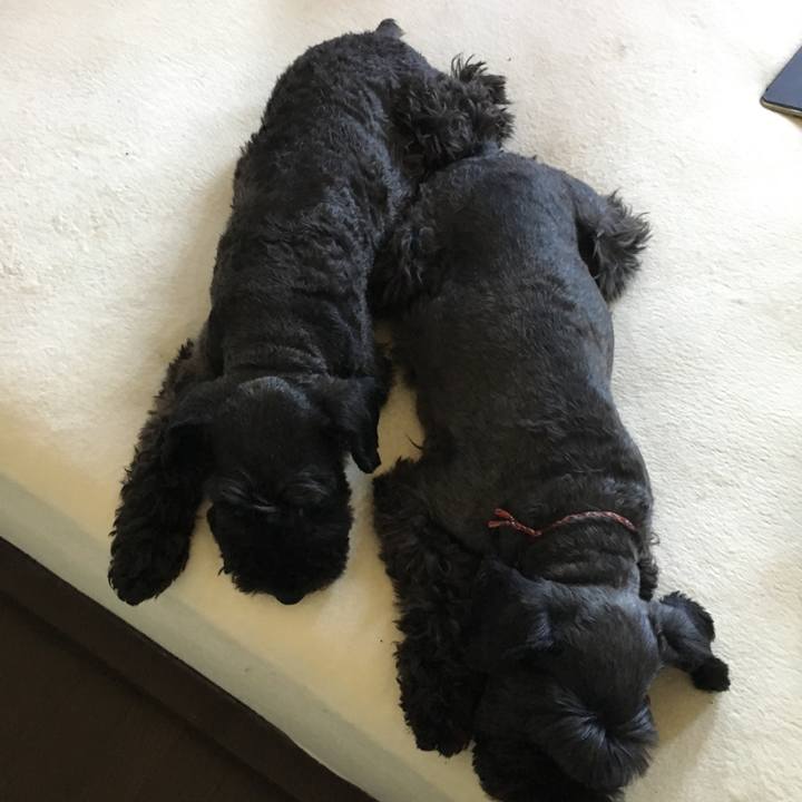 C3c0b543 3bf5 46da 9871 9522681285c5 1564206849717