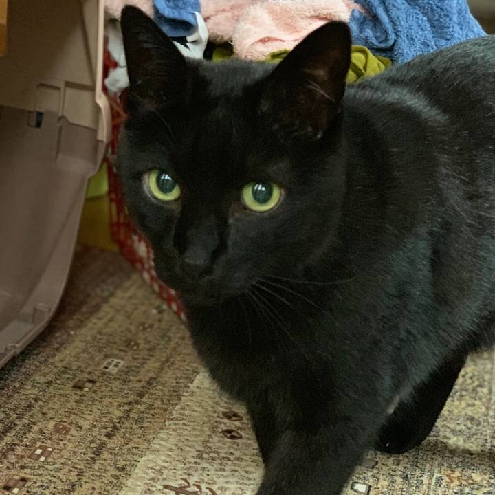 C3c0cd53 ee57 47a4 92e0 5a73b747a620 1556501361727