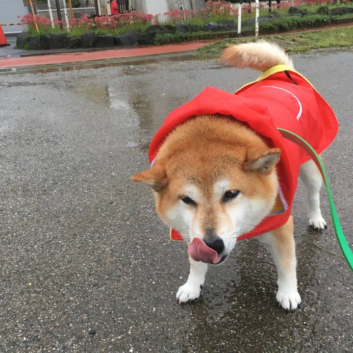 C3c0effd 2ad5 45c6 b9a3 cbbf1f26857a 1602230200349